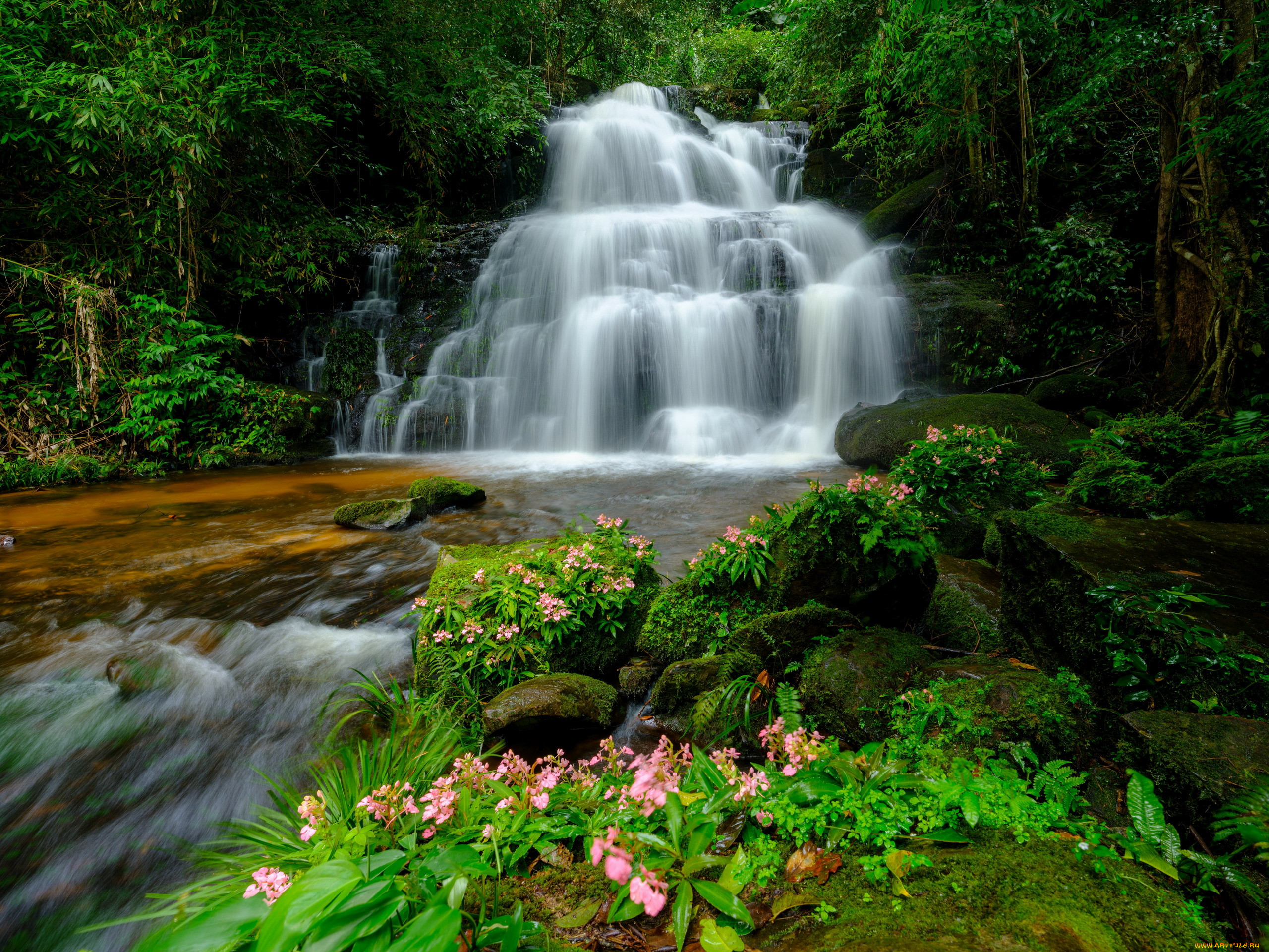 man daeng waterfall, loei province, thailand, , , man, daeng, waterfall, loei, province
